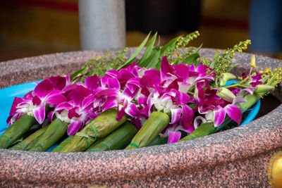 Close-up of purple flowers in tray