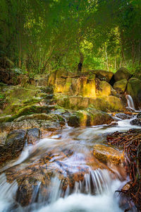 Stream flowing through rocks in forest