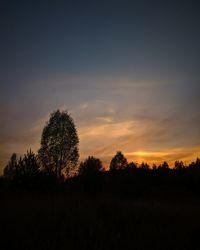 Silhouette trees on field against sky at sunset