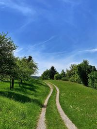 Empty road along trees on field against sky