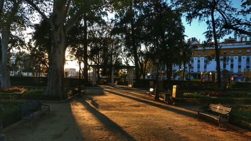 Footpath along trees