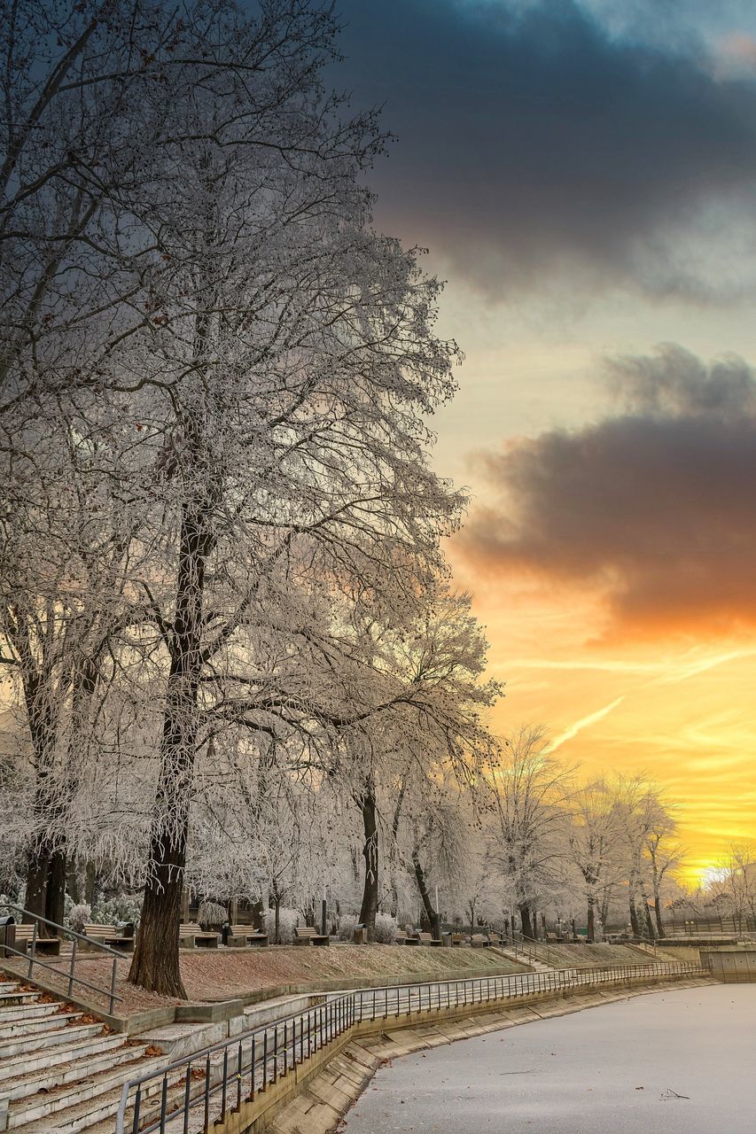 BARE TREES ON SNOW COVERED ROAD AGAINST SKY