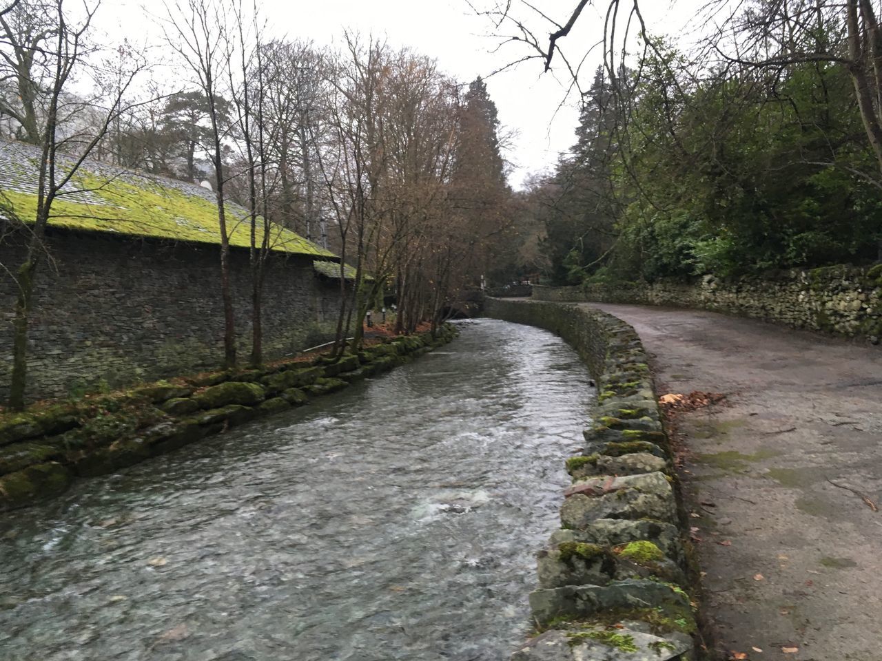 FOOTPATH AMIDST RIVER IN FOREST