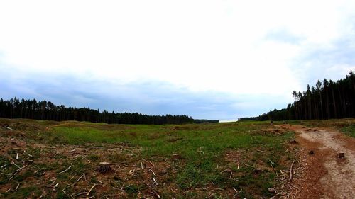 Scenic view of field against sky