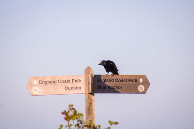 Low angle view of bird perching on sign against clear sky