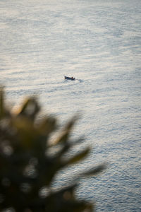 High angle view of boat in sea