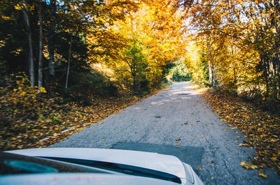 Road amidst trees during autumn
