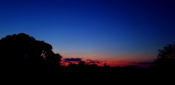 Silhouette trees against clear sky at sunset