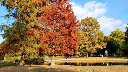 Trees in park against sky during autumn