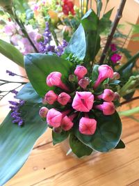 Close-up of pink flowers blooming outdoors