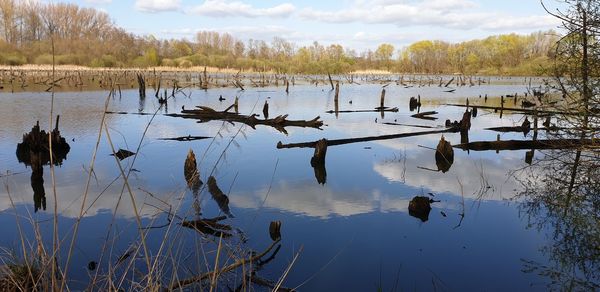 Scenic view of lake against sky during winter