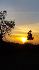 Silhouette trees against sky during sunset