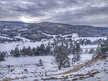 Scenic view of snow covered landscape against sky zlatibor