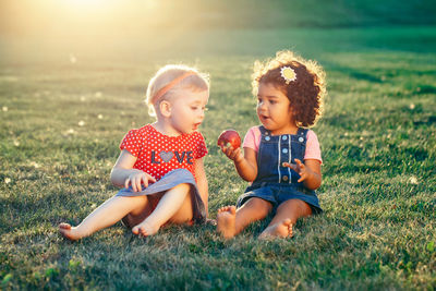 Siblings sitting on land