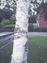 Built structure with trees in background