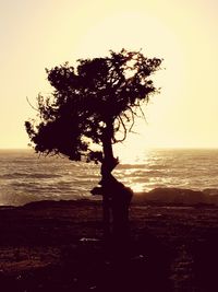 Scenic view of sea at sunset