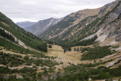 Scenic view of forest on and landscape