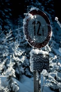 Close-up of frozen ice