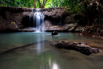 Scenic view of waterfall in forest