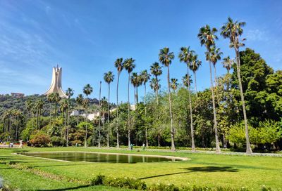 Scenic view of palm trees on field against sky