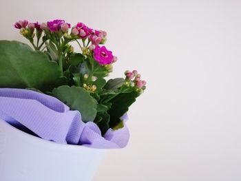 Close-up of rose bouquet against white background