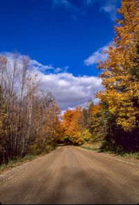 Road amidst trees against blue sky