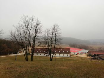 Bare trees and houses on field against sky