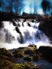 View of waterfall in forest