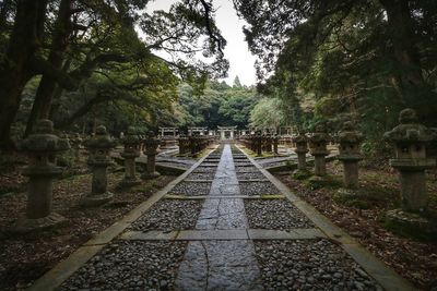 View of railroad tracks in park