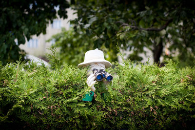 Rear view of person working on field