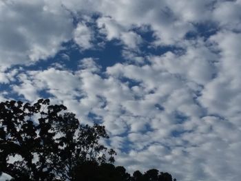 Low angle view of tree against cloudy sky