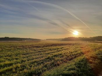 Scenic view of field against sky during sunset