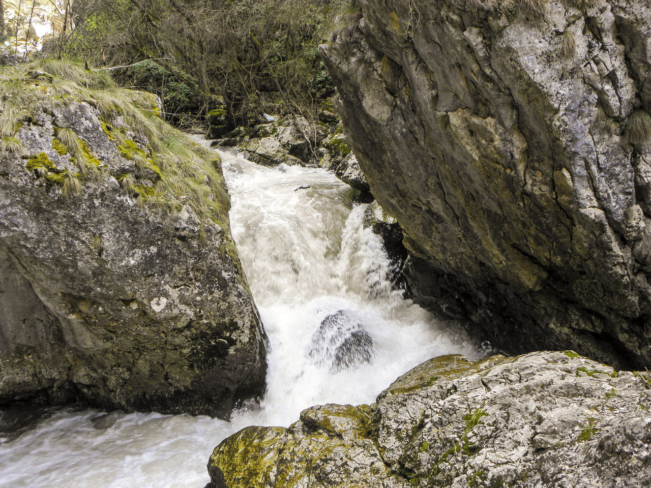 SCENIC VIEW OF WATERFALL