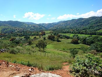 Scenic view of field against sky