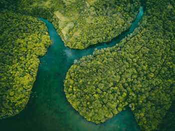 High angle view of leaf floating on water