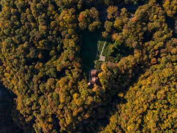 High angle view of trees during autumn