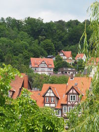 Houses amidst trees and buildings against sky