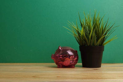 Close-up of potted plant on table