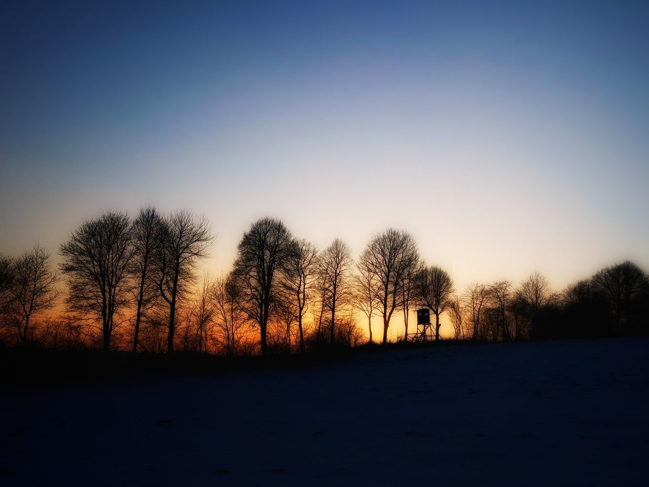 tree, sunset, sky, no people, silhouette, nature, field, clear sky, tranquil scene, beauty in nature, outdoors, day