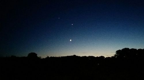 Low angle view of silhouette trees against sky at night