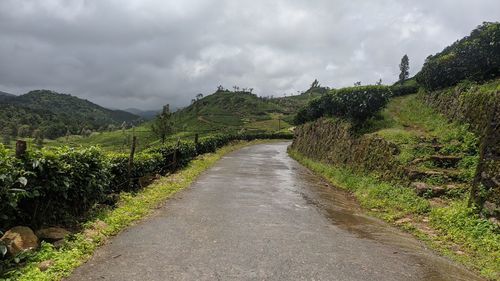 Dirt road along plants and trees against sky