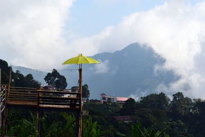 Panoramic view of trees and plants against sky