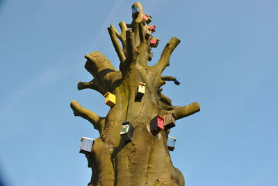 Low angle view of bird houses on dead tree against clear blue sky