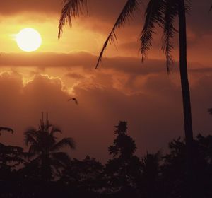 Silhouette trees against sky during sunset