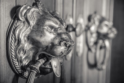 Close-up of lion shaped doorknocker on door