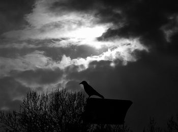 Low angle view of silhouette tree against sky