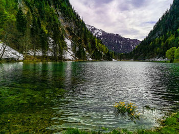 Scenic view of lake by trees against sky