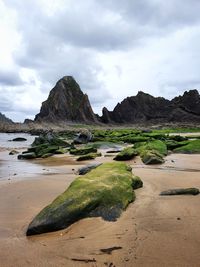 Scenic view of beach against sky