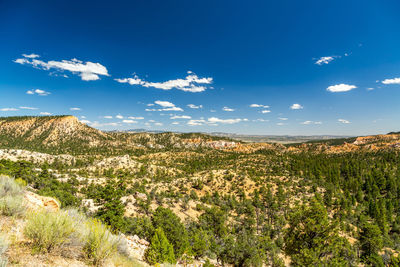 Scenic view of landscape against blue sky