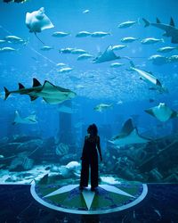 Woman standing in aquarium